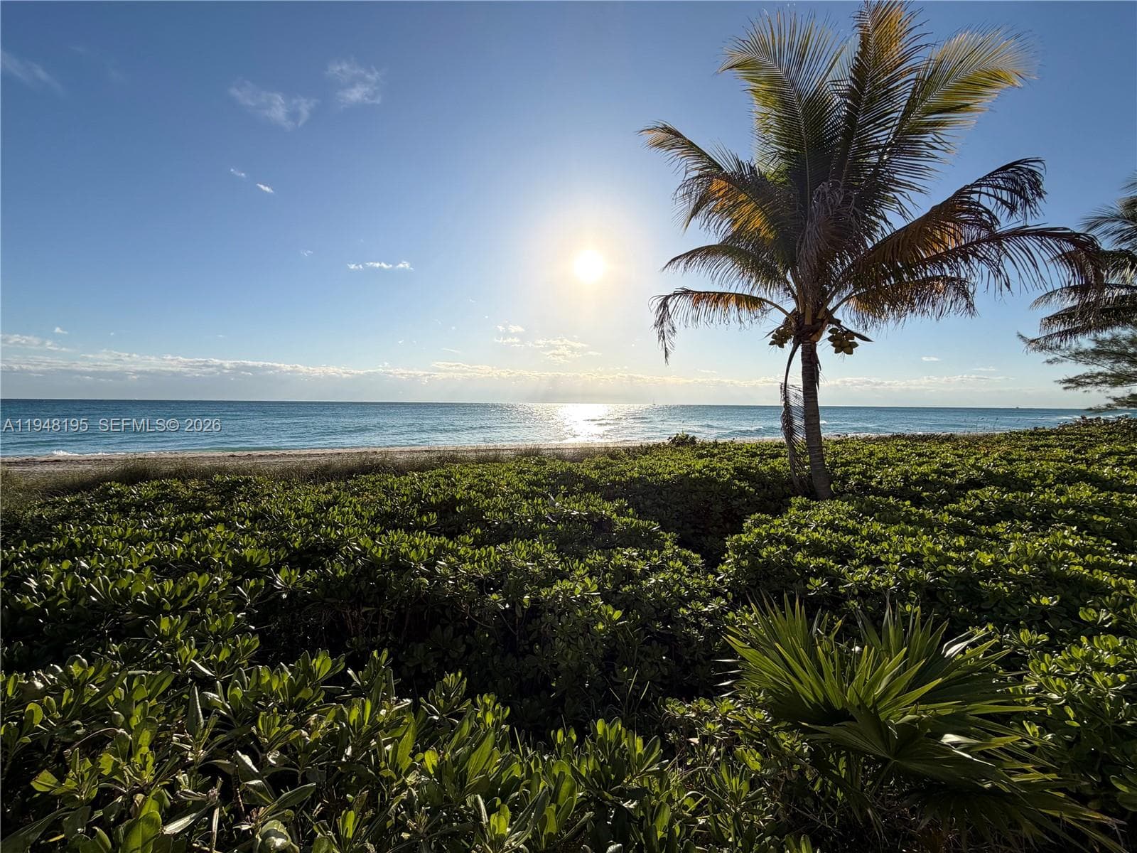 1920 S Ocean Dr #5A 30